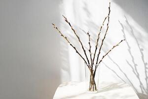 Willow Twigs In Glass Vase On White Table With Soft Light And Fancy Shadows. photo
