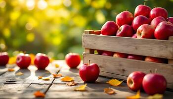 Crates of apples on wooden table in orchard setting photo