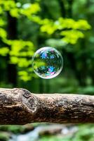 Iridescent Soap Bubble Floating Above Weathered Log in Lush Green Forest photo
