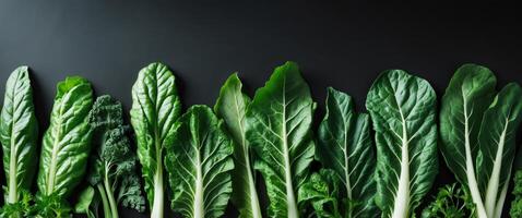 Fresh Green Leafy Vegetables on a Black Background photo