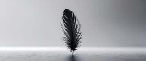 A black feather is sitting on top of a table photo