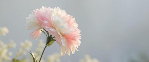 Artificial Flower with Pink and White Petals in an Outdoor Setting. photo