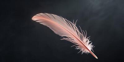 A Single Delicate Coral Feather Floating in Darkness Gentle Serenity. photo