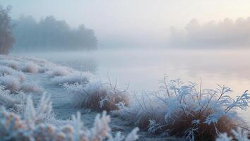 Frosty landscape with trees and grass by the water photo