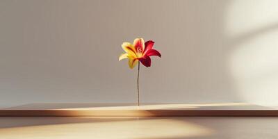 A yellow and red flower sitting on top of a table. photo