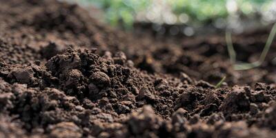 A close up of a dirt pile photo