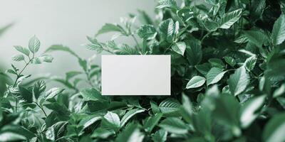 A white card is placed in the center of a green leafy background photo