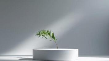 Round podium with palm branch on gray background. photo