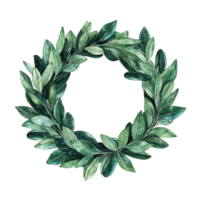 Lush Green Leaf Wreath for Botanical and Natural Elements png