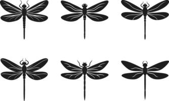 Set of Dragonfly Silhouette Vectors - Elegant Insect Illustrations for Spring Themes