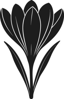 Minimalist Crocus Flower Silhouette - Elegant Spring Botanical