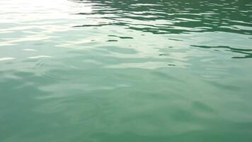 Water sea with subtle ripples and reflections. Water has a muted greenish gray tone and the surface displays a gentle flowing movement. Focusing on the water texture and subtle motion. video
