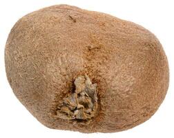 Whole ripe kiwi on isolated background, close up photo