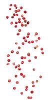 A collection of pink peppercorns arranged in a curved pattern on isolated background. Aromatic berries have a mild photo
