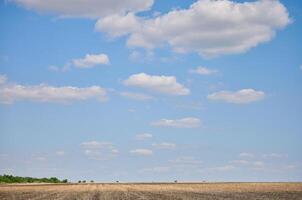 Wide shot of a dry, empty field under a clear blue sky dotted with fluffy white clouds. A line of green trees is visible on the distant horizon. photo