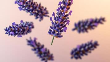 Bunch of purple flowers are floating in the air. The flowers are purple and have a delicate appearance photo