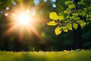 Leafy tree with a bright sun shining on it. The sun is the main focus of the image, and the tree and leaves are in the background. Concept of warmth and brightness photo