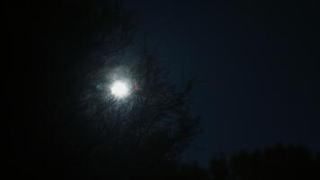 Airplane landing lights gradually approaching luminous full moon, casting silhouetted tree outline against dark nighttime sky with moonlight glowing softly video