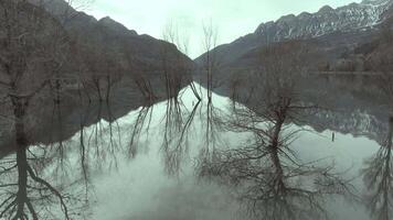 Aerial shot - Migrating birds gliding gracefully across the mirrored surface of a tranquil lake, reflecting snow dusted mountain peaks and bare winter trees in a pristine wilderness landscape video