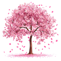 Blooming Pink Cherry Blossom Tree with Falling Petals in Spring png