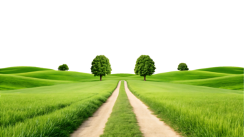 Country road through green field png