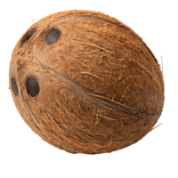 Whole coconut with three holes, isolated on black background. png