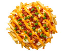 Loaded fries with cheese, bacon, and green onions. png