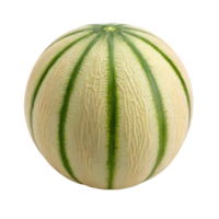 Close up of a whole Piel de Sapo melon. png