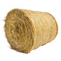 Round bale of straw isolated on black background png