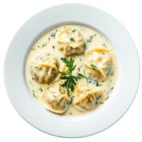 Exquisite Dumplings in Velvety Cream Sauce with Fresh Herb Garnish Isolated on Transparent Background png