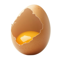Whole Egg and Broken Eggshell Isolated on Transparent Background png