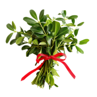 Traditional Green Mistletoe Bundle with a Festive Red Bow Isolated on Transparent Background png