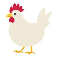 Chicken in flat style. Illustration of an animal on a farm vector