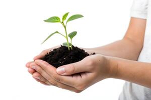 Child holding a small plant in hands with soil on a white background in studio setting close up shot photo