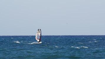 Professional windsurfer riding challenging waves, demonstrating exceptional skill and dynamic performance under bright sunny sky during thrilling water sport session video
