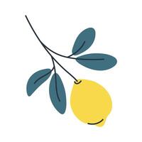 Lemon on branch with leaves. Perfect for summer, botanical and food designs. vector