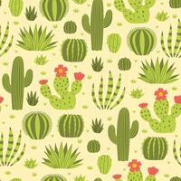 Seamless pattern with various desert cacti. graphics. vector