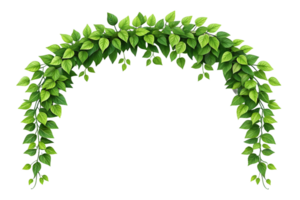 A leafy green vine archway frame isolated on transparent background for design and decoration purposes use png