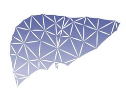 Illustration of a human liver with faceted sides. Triangular geometric effect. vector