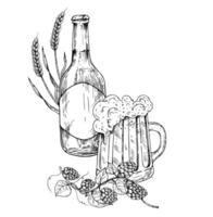 Glass and bottle of beer with cap of foam and common hop. Graphic ink ale illustration, organic Humulus lupulus branch with leaves and cones isolated on background. Hand drawn line sketch. For vector