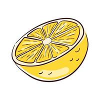 Lemon fruit yellow half in flat style. Hand drawn illustration design for menu, package, cosmetic, textile isolated on a white background. vector