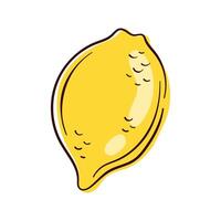 Whole lemon with textured peel in flat style. Botanical illustration, food packaging design and citrus themed project. Isolated on a white background. vector