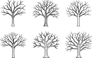 Set of Elegant Bare Tree Line Drawings - Hand-Drawn Minimalist Nature Illustrations vector