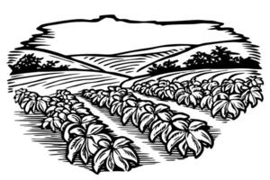 Monochrome farming field landscape with rows of crops and distant hills vector