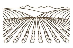 Vast agricultural landscape with mountain view, line art style, rows of crops vector