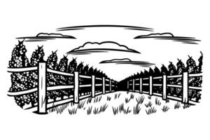 vineyard landscape with rows of grape vines and wooden fence under cloudy sky black and white illustration vector