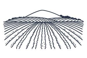 illustration of vast agricultural field with rolling hills and furrowed rows in simplified vector
