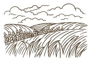 Rolling countryside illustration with cloudy sky and wheat fields vector