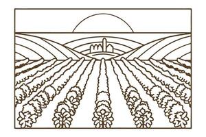 Vineyard landscape at sunset rolling hills, rows of grapevines, tranquil nature setting vector