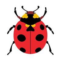 Stylized ladybug beetle with unique and colorful design. Hand drawn trendy flat style. Simple, Minimalist design, clean lines modern flat style. Ideal for nature designs,childrens illustrations vector